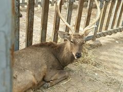 -意大利农场度假村