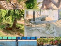 -灵玲国际马戏城