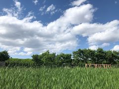 -河北村民俗体验园