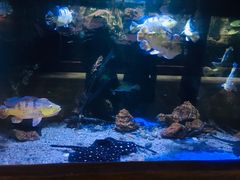 -华夏文旅海洋公园