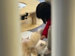 -成都仁和新城购物中心