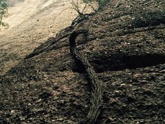 剑门关-剑门关风景区