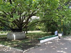 -莫斯科大学