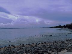 -宝安西湾红树林湿地公园