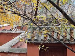 -北京上方山国家森林公园
