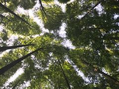 -山王坪喀斯特国家生态公园