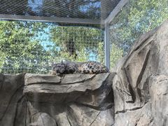 -青藏高原野生动物园