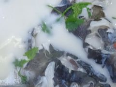 -全乐鱼馆·淳牌有机鱼直营店