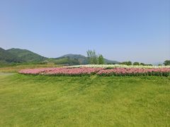 -径山花海