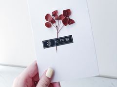-知物癖(牛王庙店)