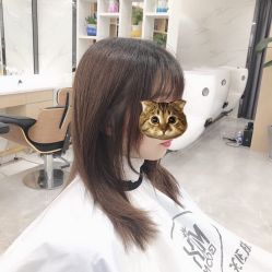 中发-BM SALON