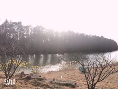 景点-上海海湾国家森林公园