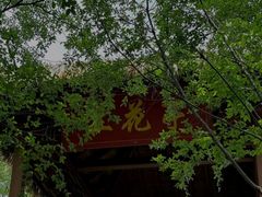 -栾川竹海野生动物园