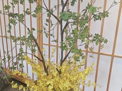 -松竹和日式料理(辽阳店)