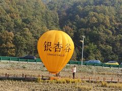 -千年银杏谷文化旅游区