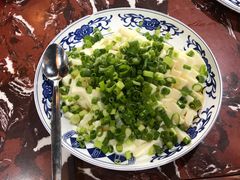 小葱拌豆腐-九河居(荔湾路店)
