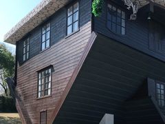 -金山农民画村-枫泾波兰倒置屋