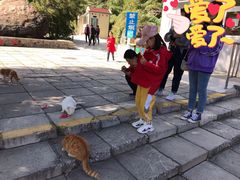 -京西十八潭风景区