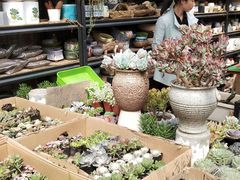 -秦美花卉(天朗·莱茵小城2期店)