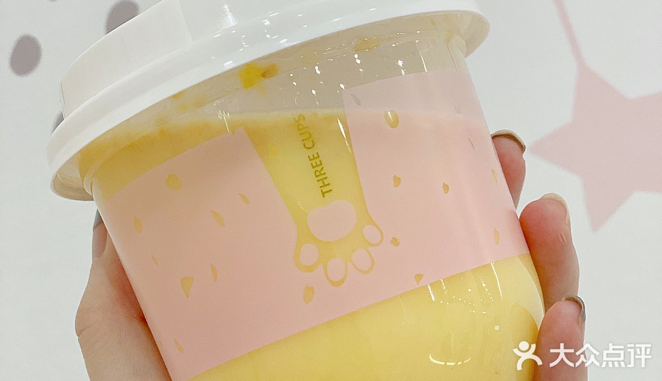 超治愈的撸猫胜地 一起来rua一rua