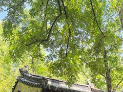 -包公祠