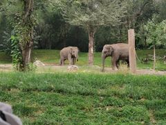 -北京野生动物园