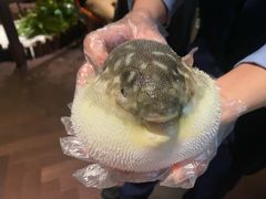-肆月河豚·淮扬菜·湘菜(华天店)
