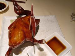 -侨美食家·粤菜(体育西路店)