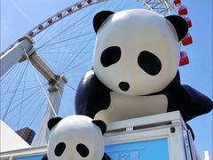 -天津之眼摩天轮