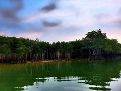 -宴悦海鲜餐厅·游水海鲜·牛排(亚龙湾瑞吉店)