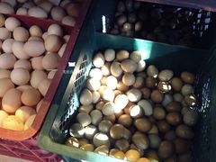 -老张烤羊(王哥庄店)