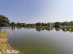 -东平国家森林公园