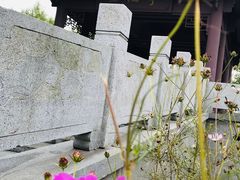 -梁鸿国家湿地公园