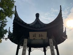 -贡湖湾湿地公园