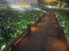 -南通濠河风景名胜区