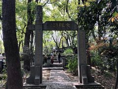 -上海佘山国家森林公园天马山园