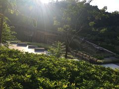 -神光山国家森林公园