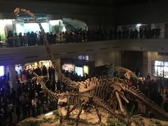 -自贡恐龙博物馆