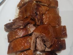 -不倒翁·安徽名菜楼(步行街店)