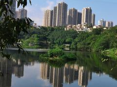 -重庆彩云湖湿地公园