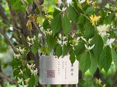 -郑州中国绿化博览园