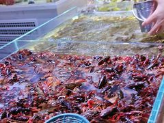 -聚盛源蒸汽海鲜火锅烤肉自助(巨川金海岸购物广场店)