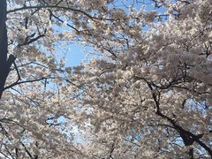 -神仙雪浓汤(明洞店)