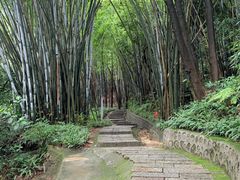 -黄埔油麻山森林公园