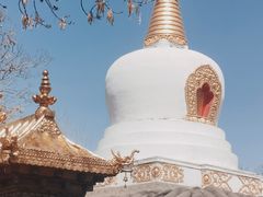 -护国法轮寺