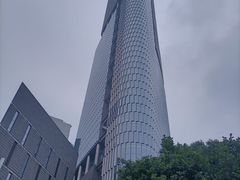 -紫峰大厦