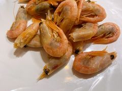 北极虾-禾斗海鲜自助(城阳宝龙店)