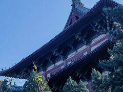 -隆兴寺