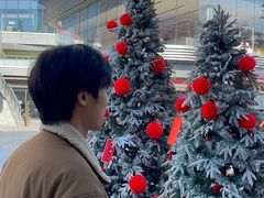 -东莞松山湖万象汇