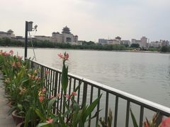 -莲花池公园